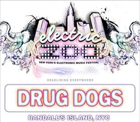 Drug-Dogs